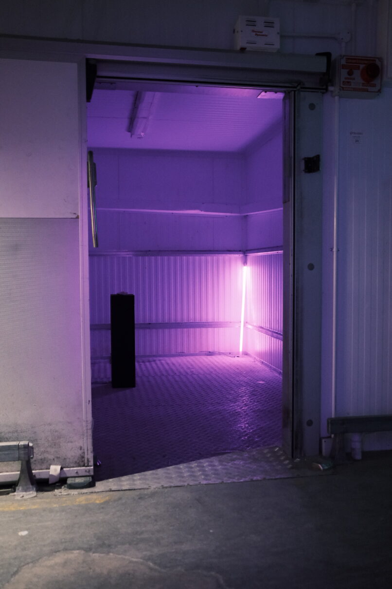 The installation "look for yourself or a human rights graveyard?" by Stathis Doganis. A small sculpture in a plinth made in the island of Lesvos. A lamp with purple light behind the sculpture is dimmed down when the visitor approaches the artwork.