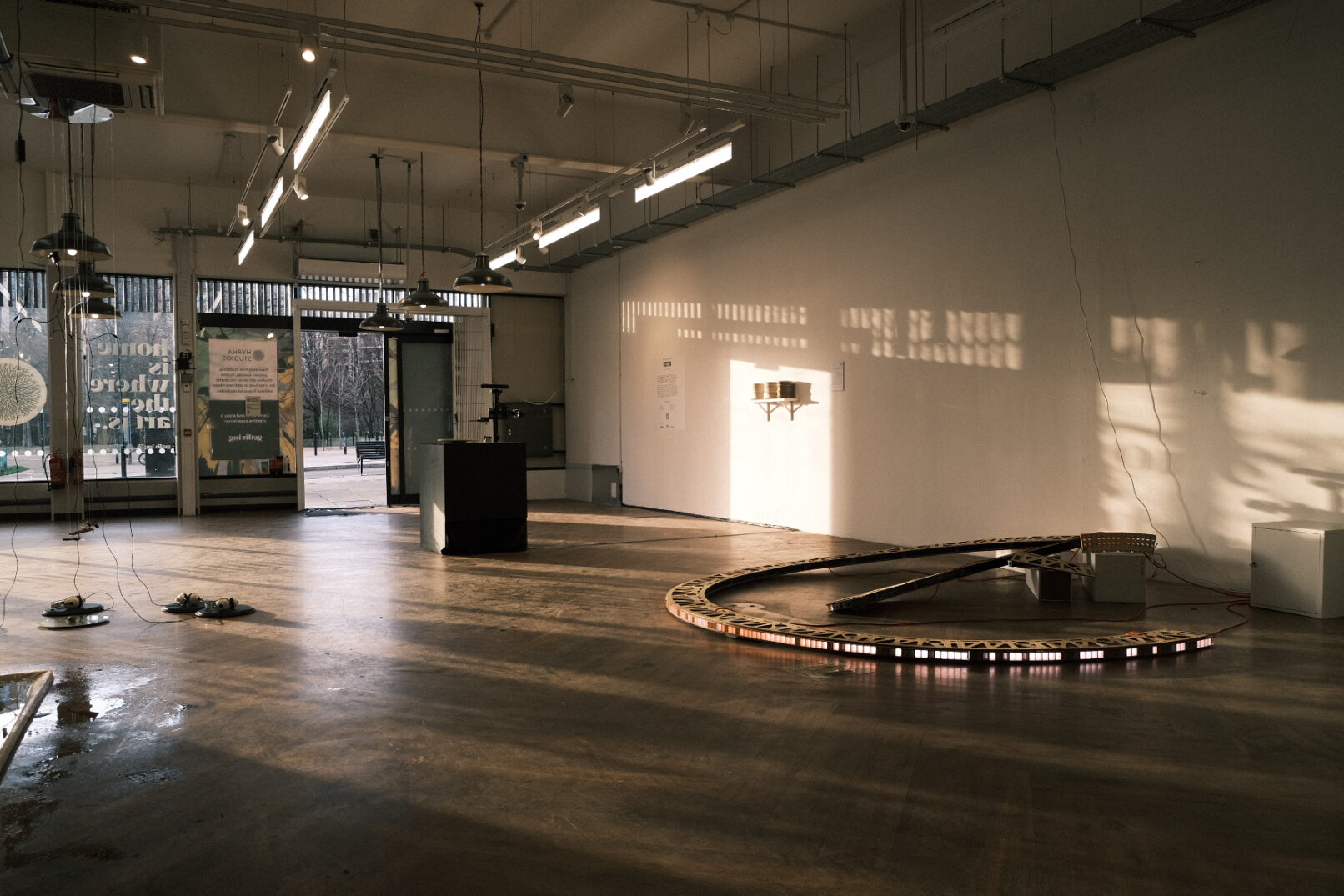 Part of the Dissection exhibition