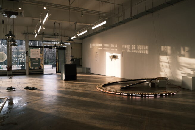 Part of the Dissection exhibition