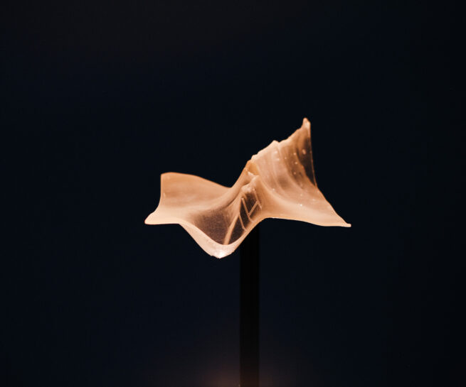 topological 3D printing